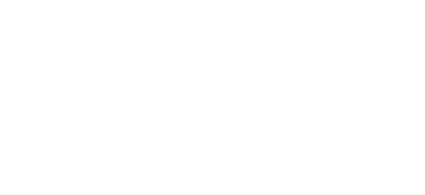 British Heart Foundation